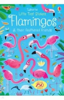 Flamingos and their feathered friends