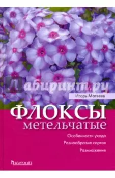Флоксы метельчатые. Особенности ухода
