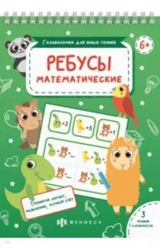 Головоломки Математические ребусы (56901001)