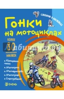 Гонки на мотоциклах