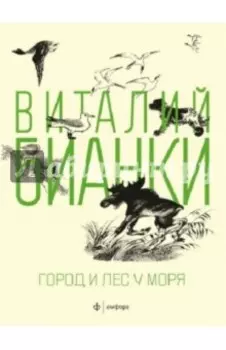 Город и лес у моря