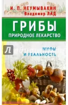 Грибы - природное лекарство