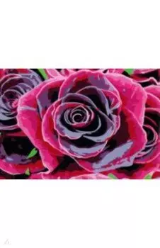 Холст с красками Бархатная роза