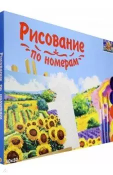 Холст с красками для рисования по номерам "Морская стихия", 40х50 см (Х-8429)