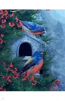 Холст с красками Красивые зимние птицы