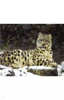 Холст с красками Снежный барс в снегу