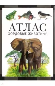 Хордовые животные. Атлас
