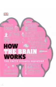How the Brain Works