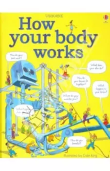How Your Body Works