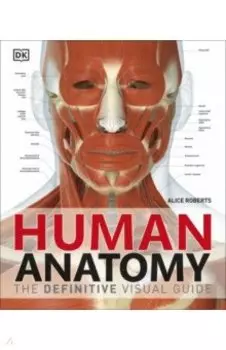 Human Anatomy