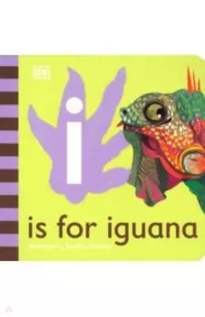 I is for Iguana