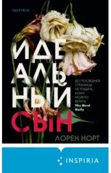 Идеальный сын