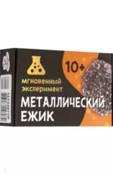 Игра научная Металлический ёжик