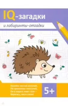 IQ-загадки и лабиринты-отгадки