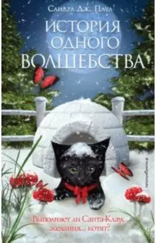 История одного волшебства