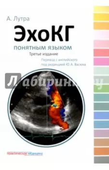 ЭхоКГ понятным языком