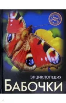 Энциклопедия. Бабочки