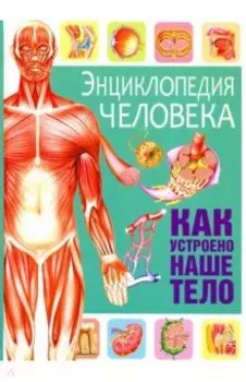 Энциклопедия человека. Как устроено наше тело
