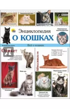 Энциклопедия о кошках