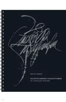 Экспрессивная каллиграфия. 20 стилей для практики