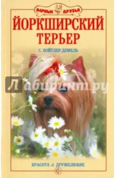 Йоркширский терьер. Красота и дружелюбие