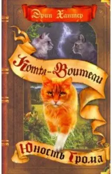 Юность Грома