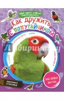 Как дружить с попугайчиком