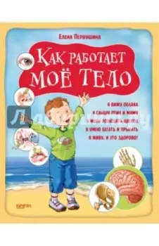Как работает мое тело