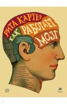 Как работает мозг