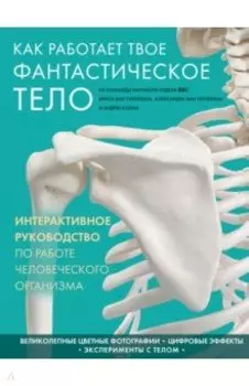 Как работает твое фантастическое тело