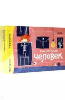 Как устроен человек. Викторина с Чевостиком