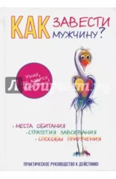 Как завести мужчину?