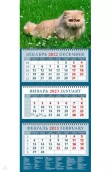 Календарь Год кота. Красавец в траве, на 2023 год