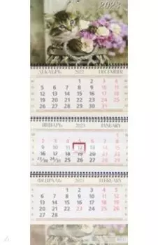 Календарь квартальный на 2023 год Котенок