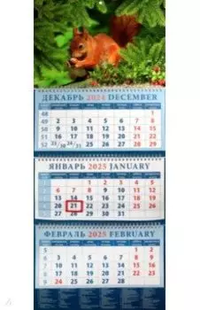 Календарь квартальный на 2025 год Белка с орехом