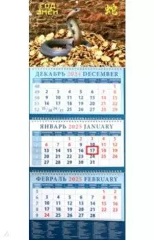 Календарь квартальный на 2025 год Год змеи