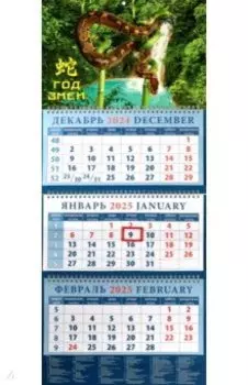 Календарь квартальный на 2025 год Год змеи