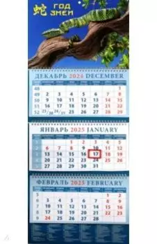 Календарь квартальный на 2025 год Год змеи