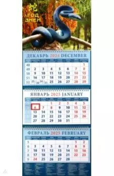 Календарь квартальный на 2025 год Год змеи