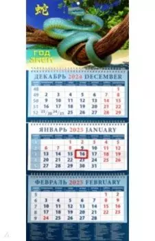 Календарь квартальный на 2025 год Год змеи