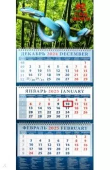 Календарь квартальный на 2025 год Год змеи