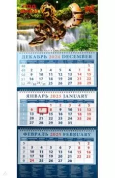 Календарь квартальный на 2025 год Год змеи