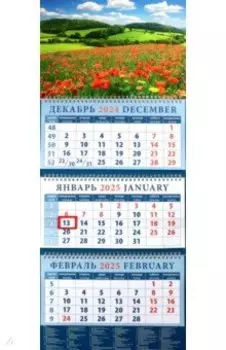 Календарь квартальный на 2025 год Пейзаж с маками