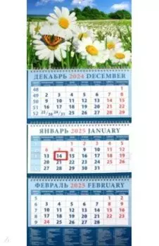 Календарь квартальный на 2025 год Ромашки и бабочка