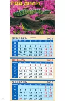Календарь квартальный на магните на 2025 год Год змеи