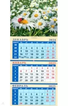Календарь квартальный на магните на 2025 год Ромашки с божьей коровкой