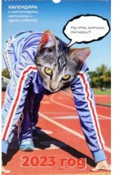 Календарь на 2023 год Котокалендарь