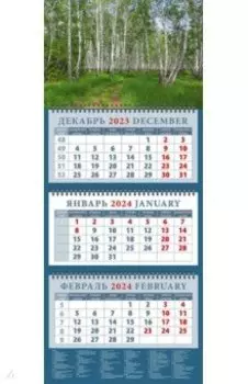 Календарь на 2024 год Березовая роща