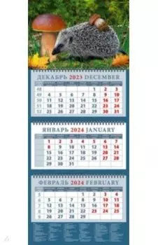 Календарь на 2024 год Ежик с грибом
