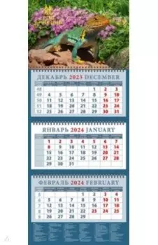 Календарь на 2024 год Год дракона